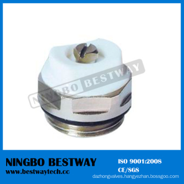 High Quality Air Vent Valve (BW-R10)